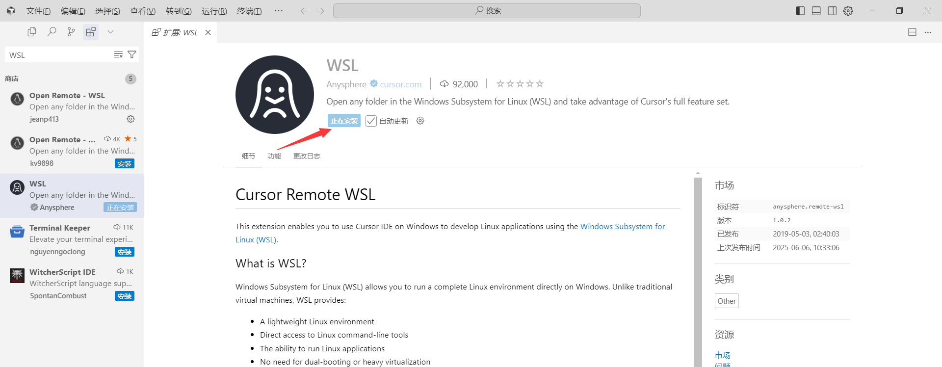 Remote WSL 扩展详情