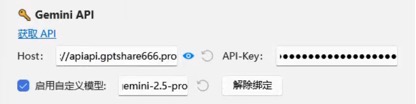 Zotero One API 的 Gemini 自定义密钥区域,密钥已遮挡