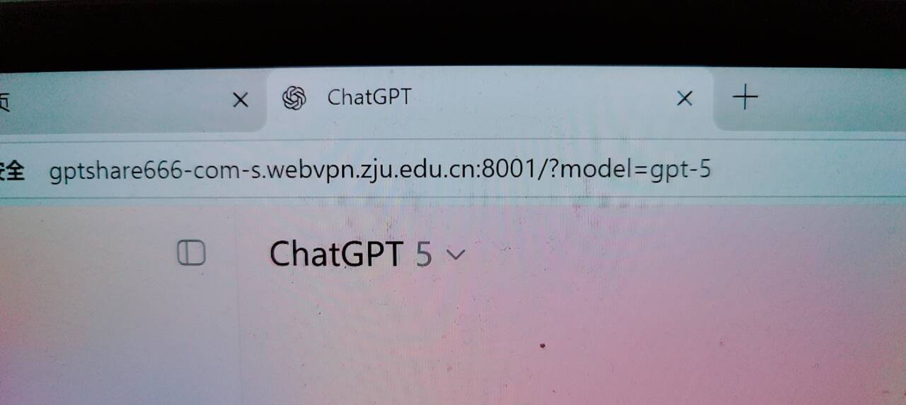 包含 webvpn 字段的错误访问地址示例