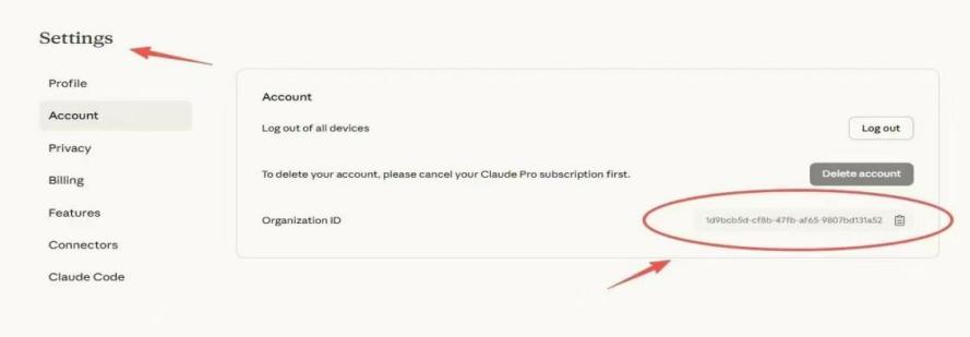 Claude Settings Account 页面中的 Organization ID 定位截图