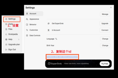 Grok Settings Account 页面中的 ID 定位截图